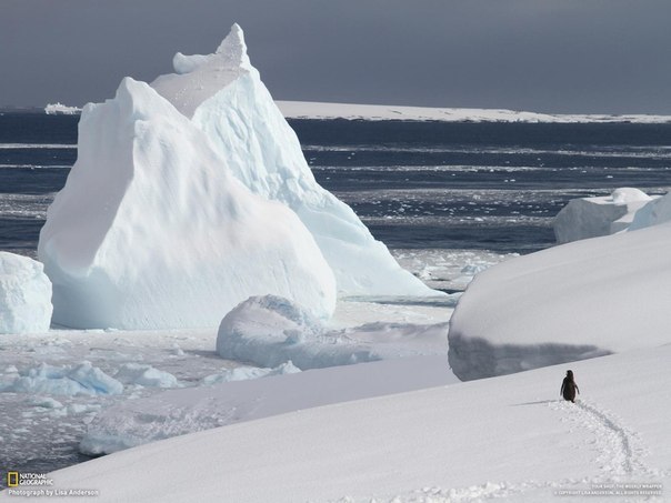 Назар Живчин | Межгорье