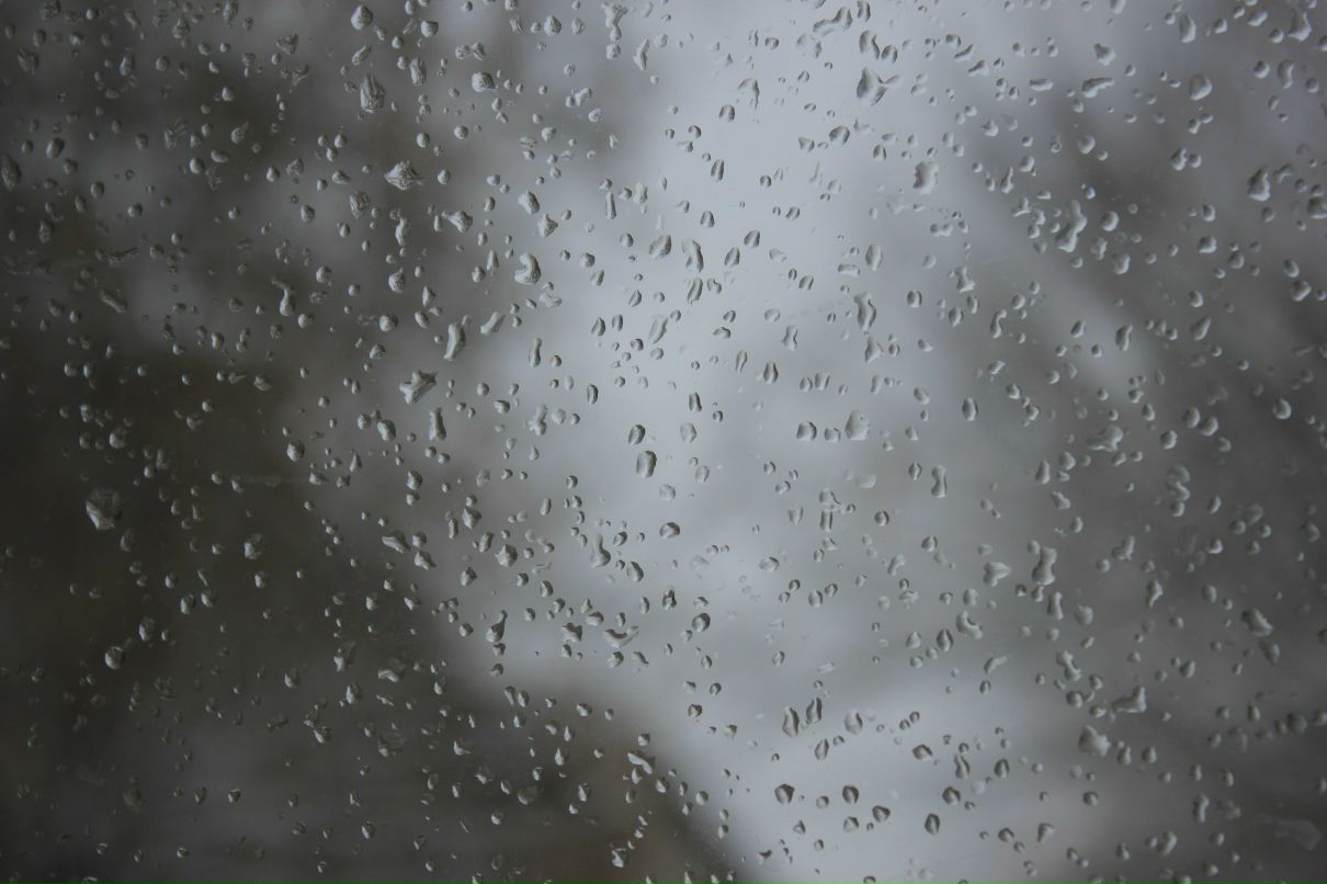 Алексей Тимофеев | Казань