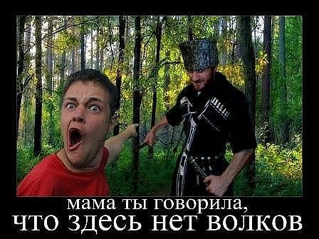 Амина Нохчи | Калининград