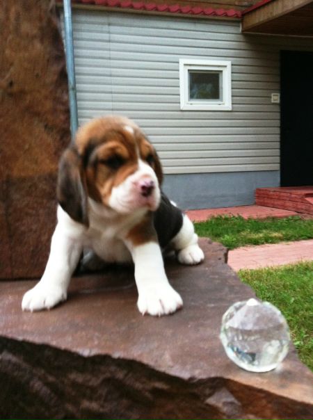 №194, Жанна Потемкина, Владимир №194, Жанна Потемкина, Владимир