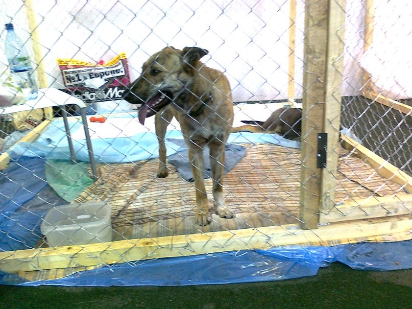 Владимир Кожевников | Санкт-Петербург