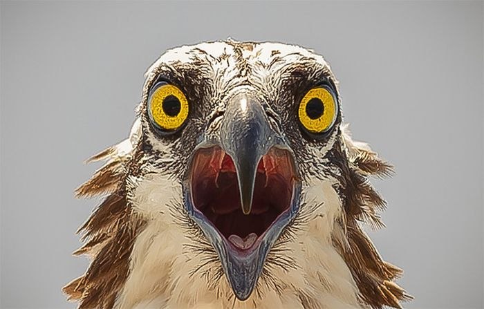 Александр Суходоев | Пермь