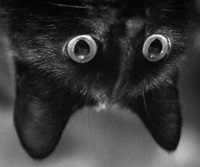 №24, Екатерина Хрустовская, Тюмень №24, Екатерина Хрустовская, Тюмень