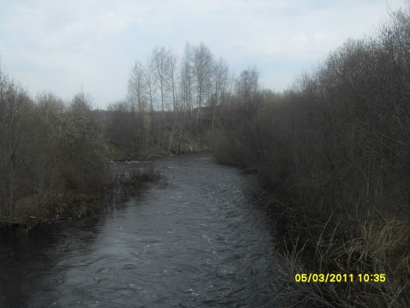 Николай Васин | Пошехонье