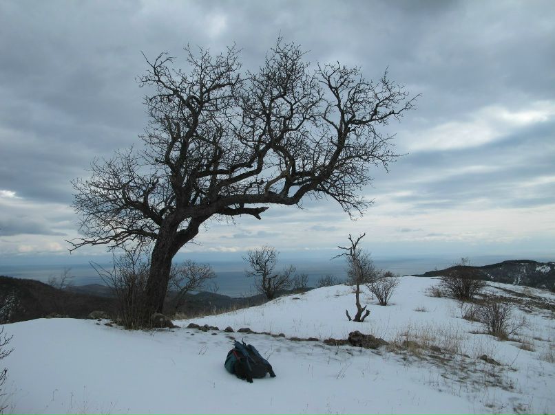 Игорь Баженов | 