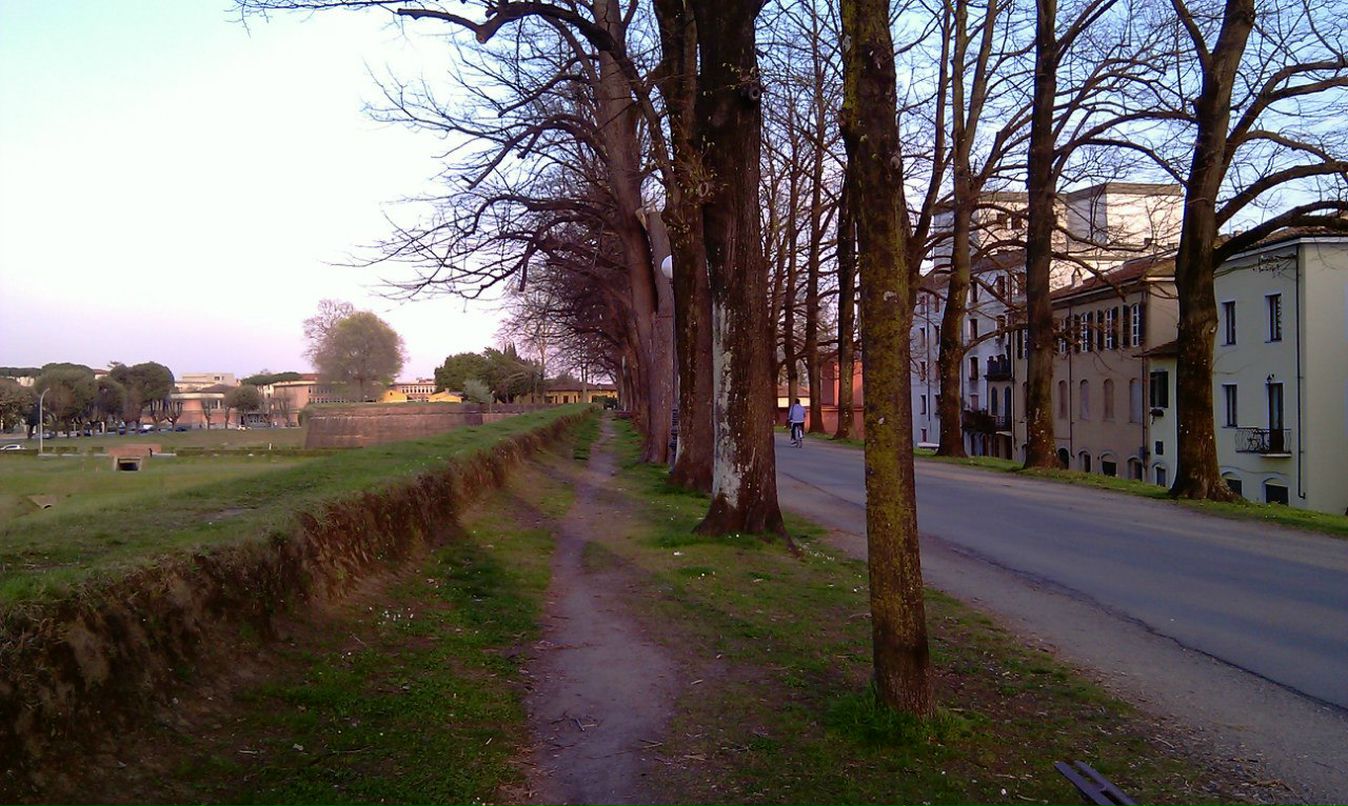 Вадим Конев | Ростов-на-Дону