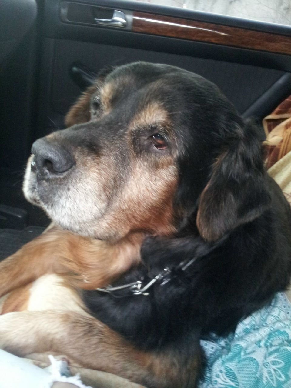 Александр Квиткин Relaxxx | Москва