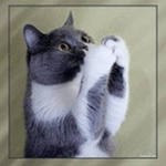 Вячеслав Савельев Олегович | Düsseldorf