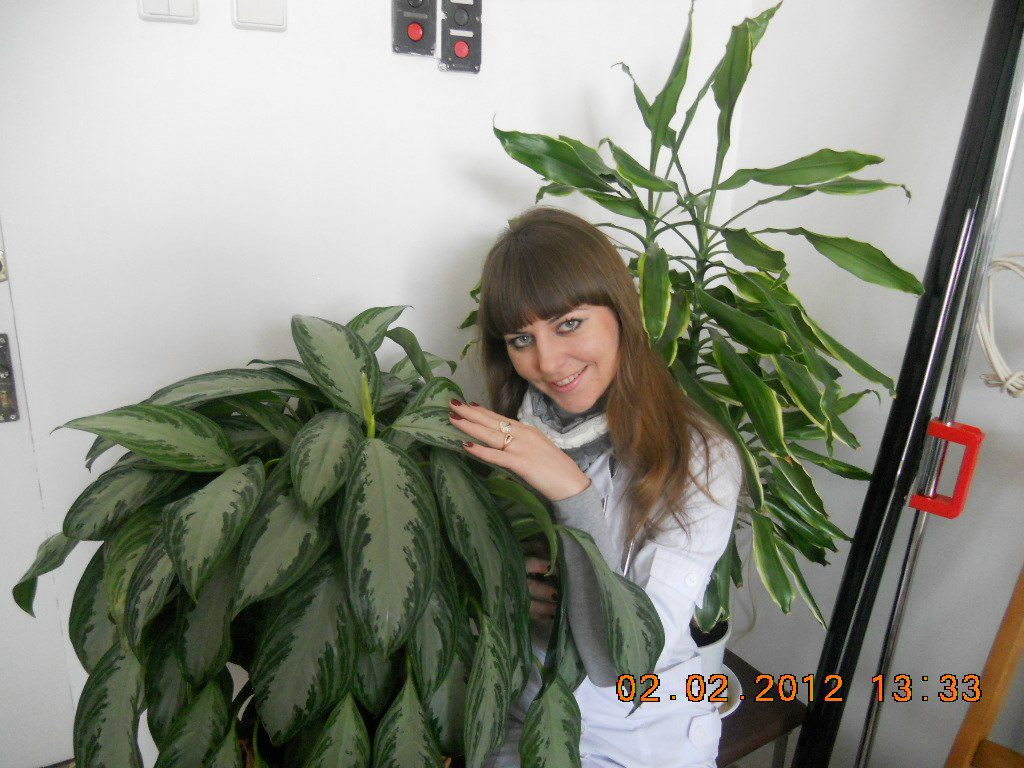 Елена Пашинник | Киев