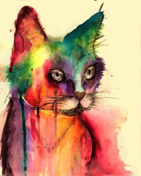 Екатерина Аспхауг | Åfjord