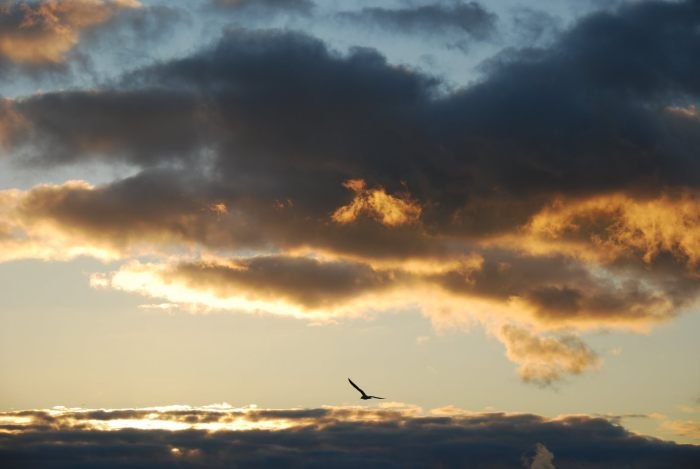 Катерина Ракова | 