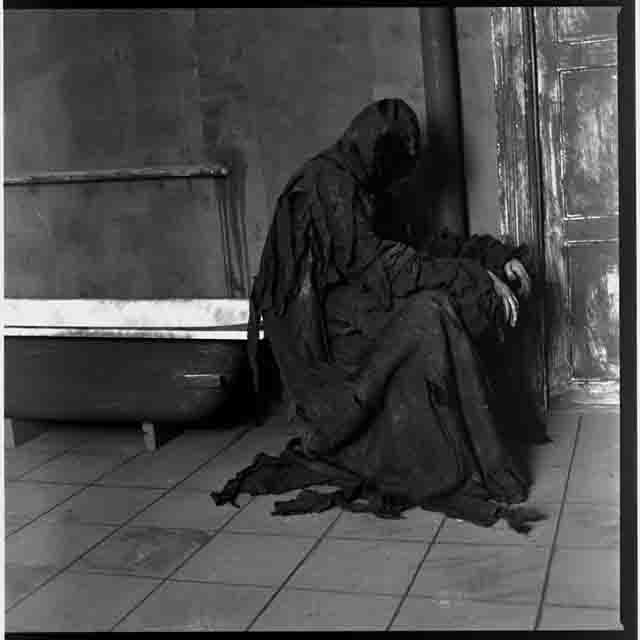 Теа Нидд | Канаш