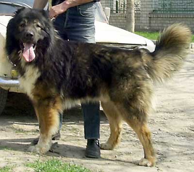 Галочка Григоришина КнОпОчКа | Херсон