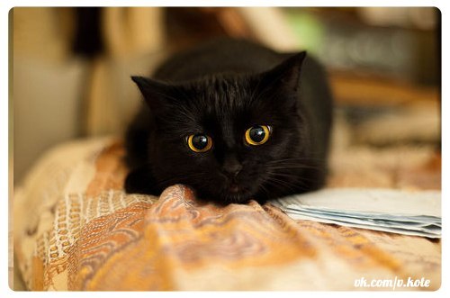 Оля Тронина | Magdeburg