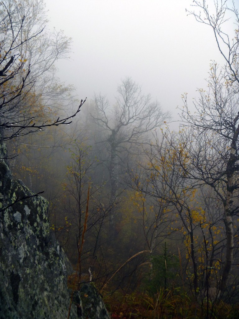 Зарина Юсупова | Уфа