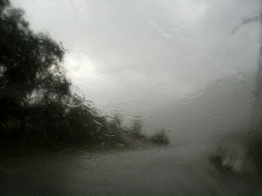 Карина Тригубенко | Брянск