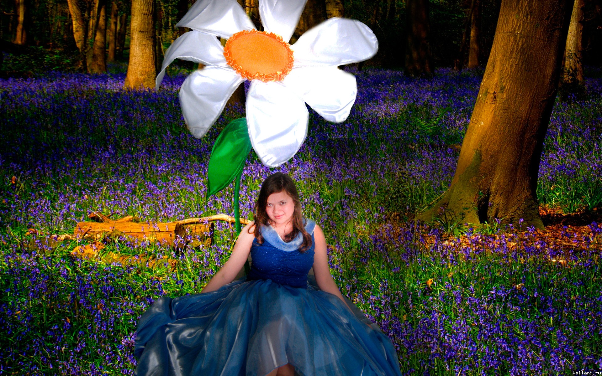 Фото от 30.10.2025