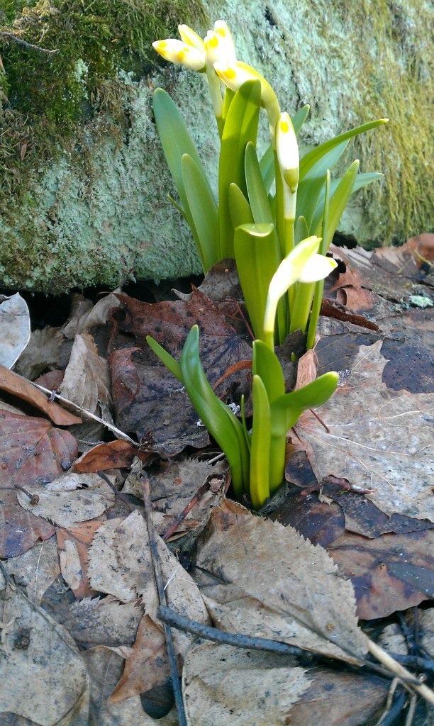 Василь Дудина | Выгода