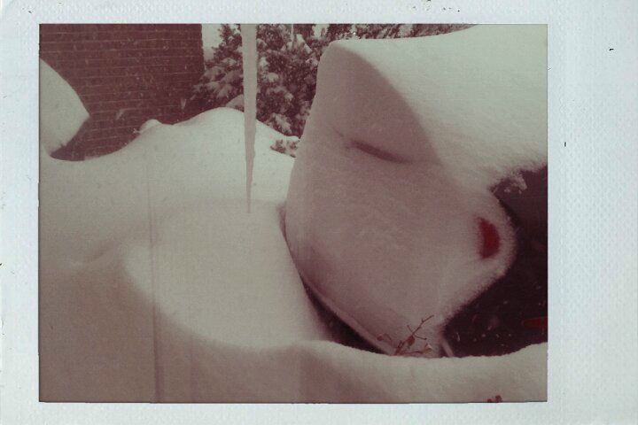 №2, Віктор Гойсан, Chicago №2, Віктор Гойсан, Chicago