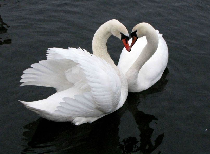 Наталья Хмелевская | Рыбинск