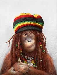 №3, Влад Малюгин №3, Влад Малюгин