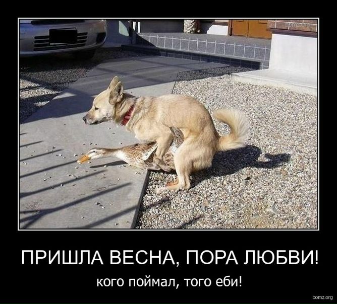 №30, Денис Петровичев, 29 лет, Санкт-Петербург №30, Денис Петровичев, 29 лет, Санкт-Петербург