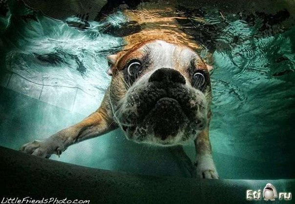 Владимир Афрамеев | Москва