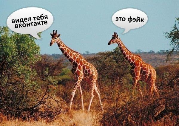 Юрок Куропаткін | Квасилов