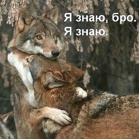 №193, Катя Одуденко, 33 года, Москва, Россия №193, Катя Одуденко, 33 года, Москва, Россия