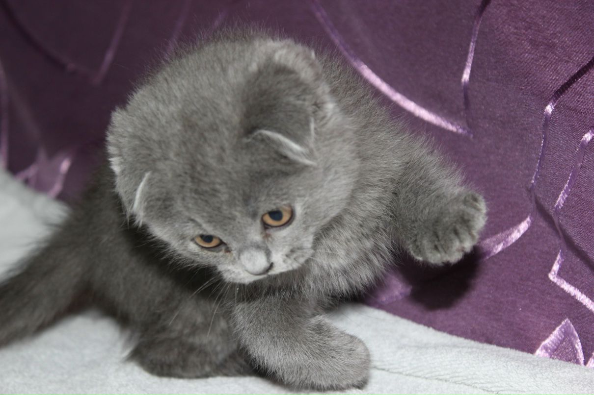 Анюта Кузьмина | Москва