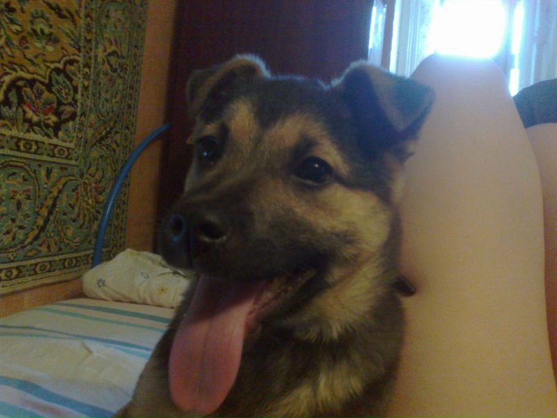 Евгения Булатова | Тамбов