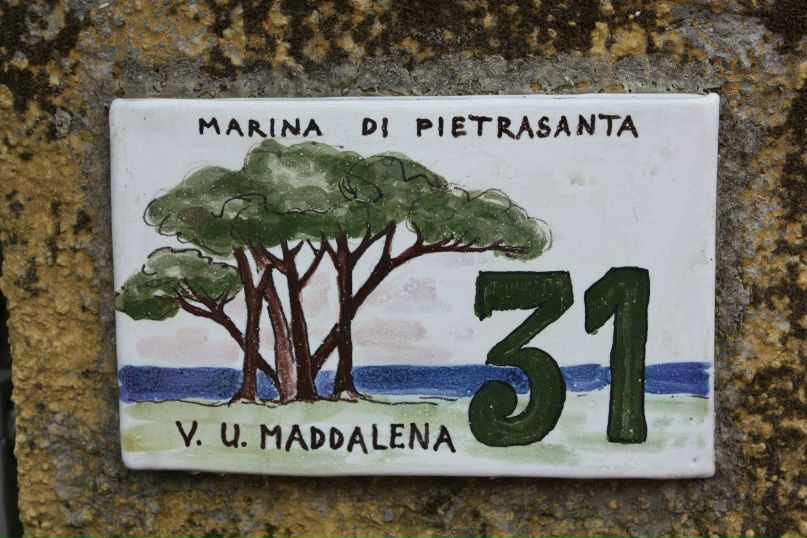 Дарья Маркова | Москва