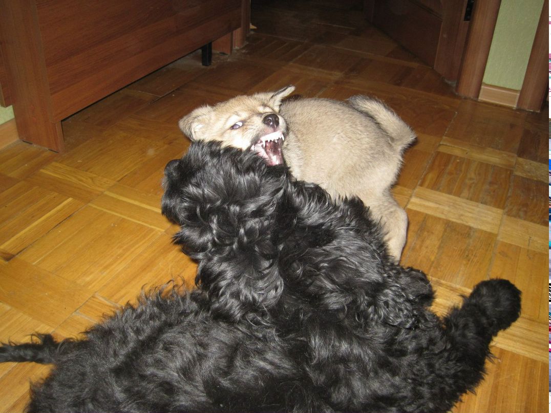 Василиса Мосина Игоревна | Москва