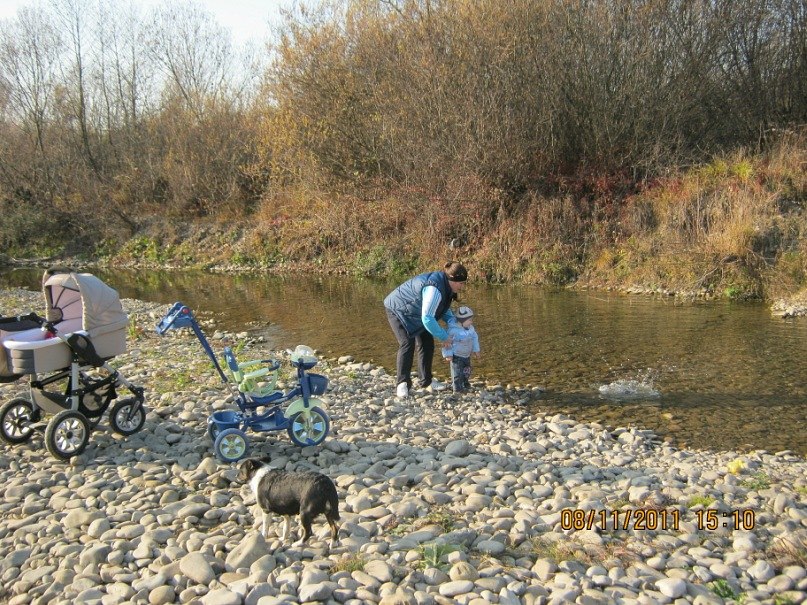 Ріта Полгар | Тячев