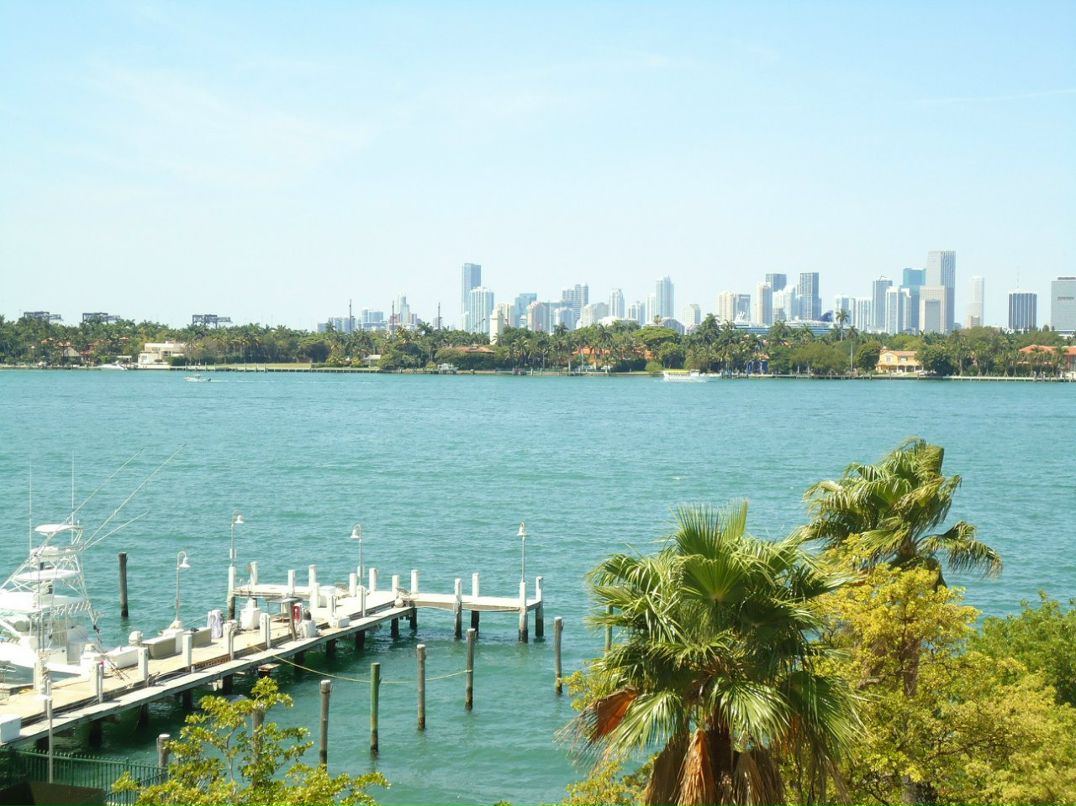 Софья Шуваева | Санкт-Петербург