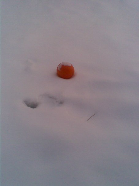 №8, Валентина Мухова №8, Валентина Мухова