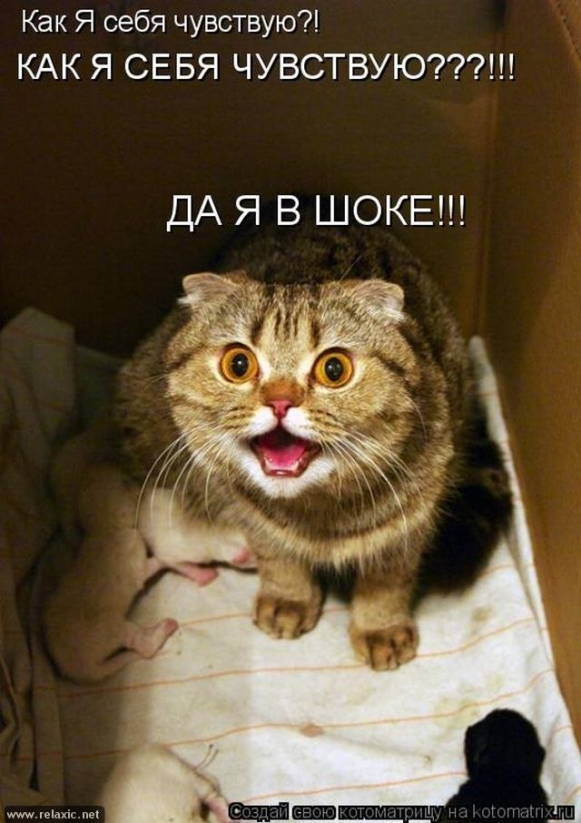 Катерина Моросина | Москва