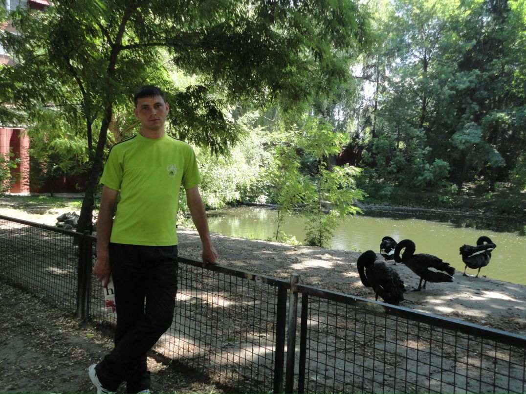 Виталий Шинкаренко ***)(ИМИК*** | Киев