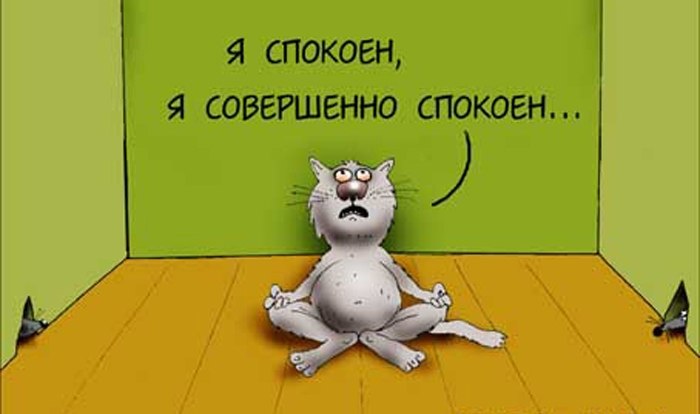 Павел Хайми | Санкт-Петербург