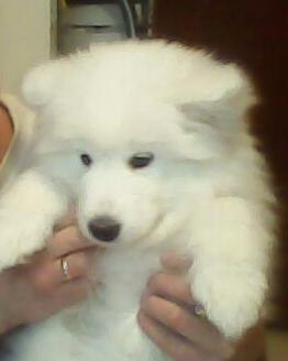 Анастасия Чёрная КИРИ | Харьков