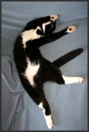 №39, Надежда Знахуренко, Санкт-Петербург №39, Надежда Знахуренко, Санкт-Петербург