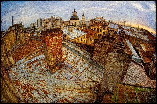 №33, Наталья Чаевская, 24.12.1951 №33, Наталья Чаевская, 24.12.1951