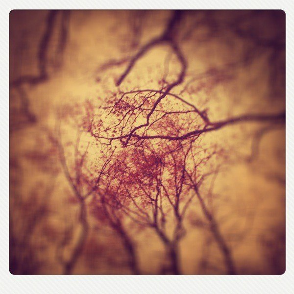 Катя Маленькая | Мурманск