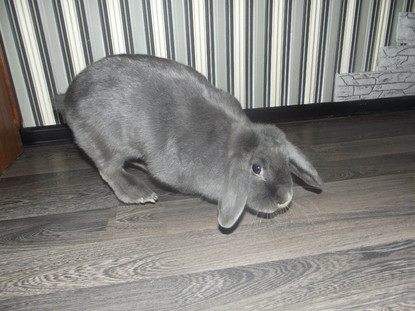 Юля Сивова | Санкт-Петербург