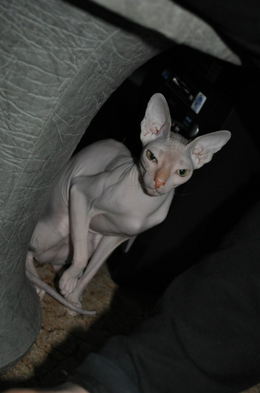 Александр Мезников | Воркута