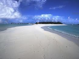 Евгений Егоров | Санкт-Петербург