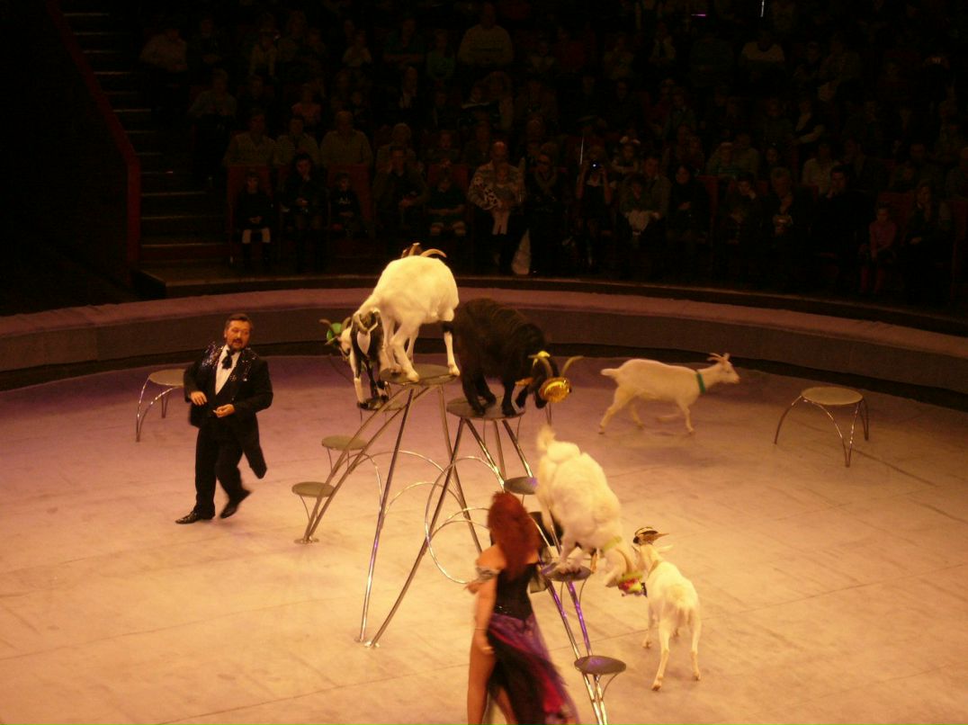 Валентина Королева | Санкт-Петербург