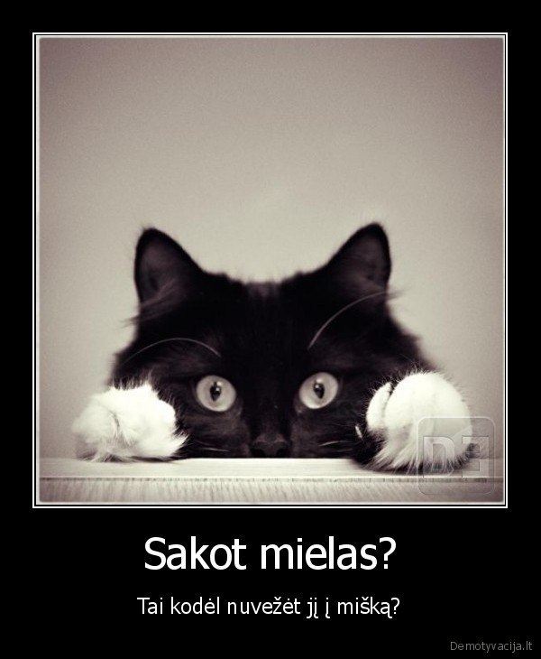 Ксения Лесухина | Ульяновск