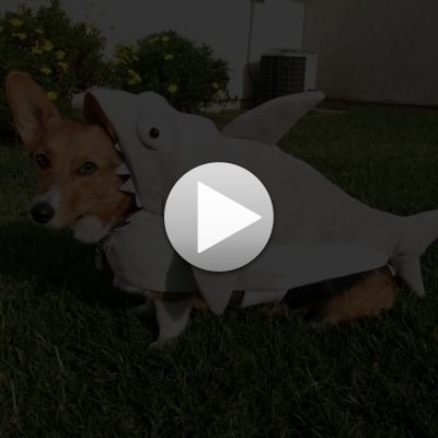 Лариса Скобелева | Великий Новгород