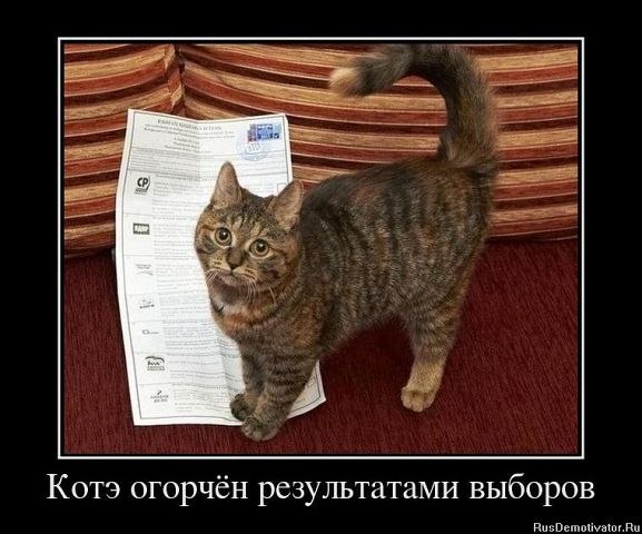 Katrin Pozdneeva | Совхоза «Россия»